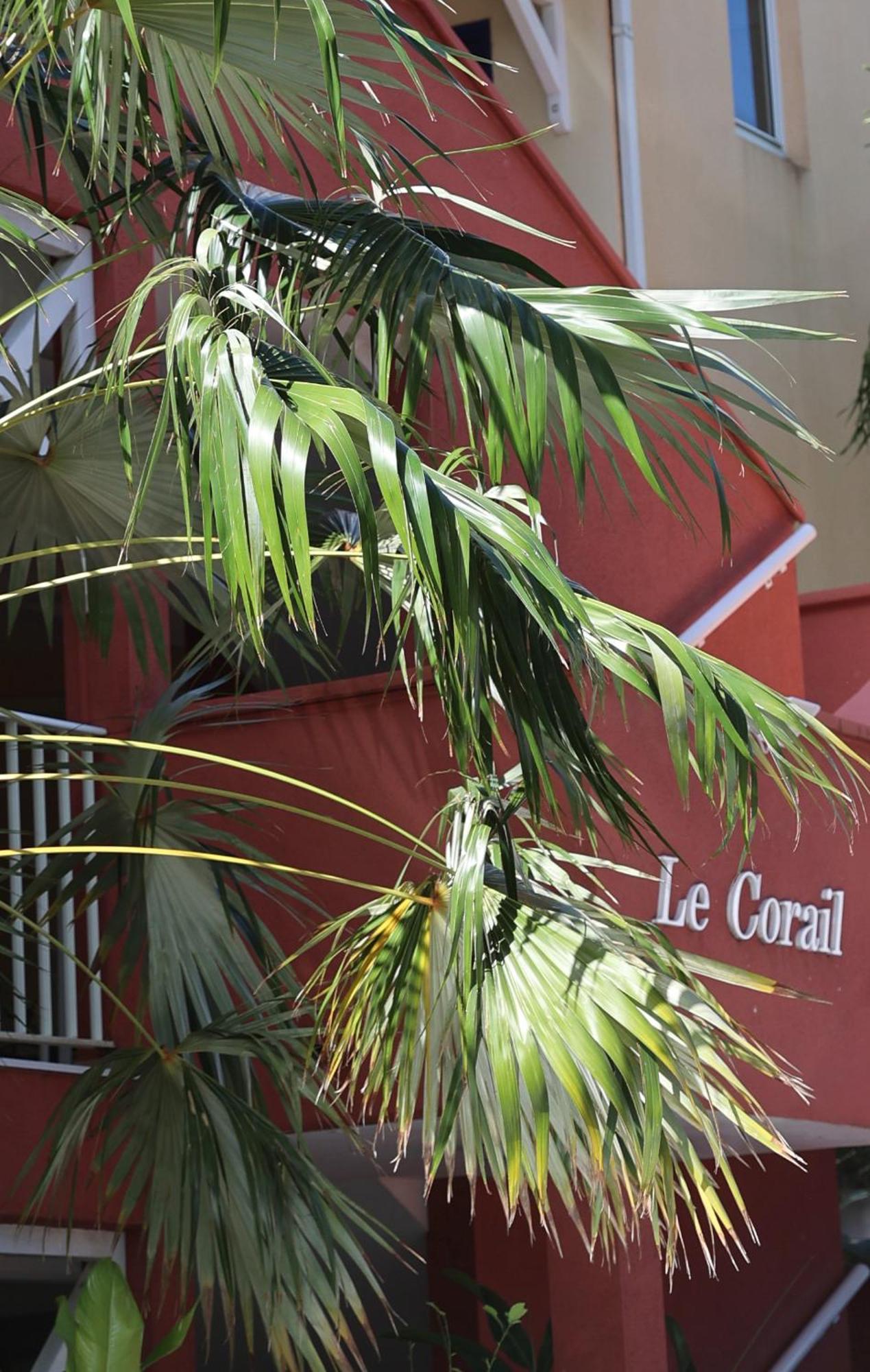 Le Coco Leilighet Le Gosier  Eksteriør bilde